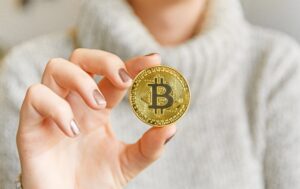Decoding Bitcoin's Price An Investor's Insight