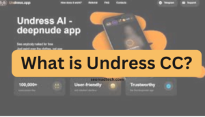 What-is-Undress-CC