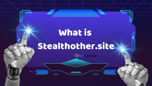 What-Is-Stealthother.site-Features-of-Stealthother.site_